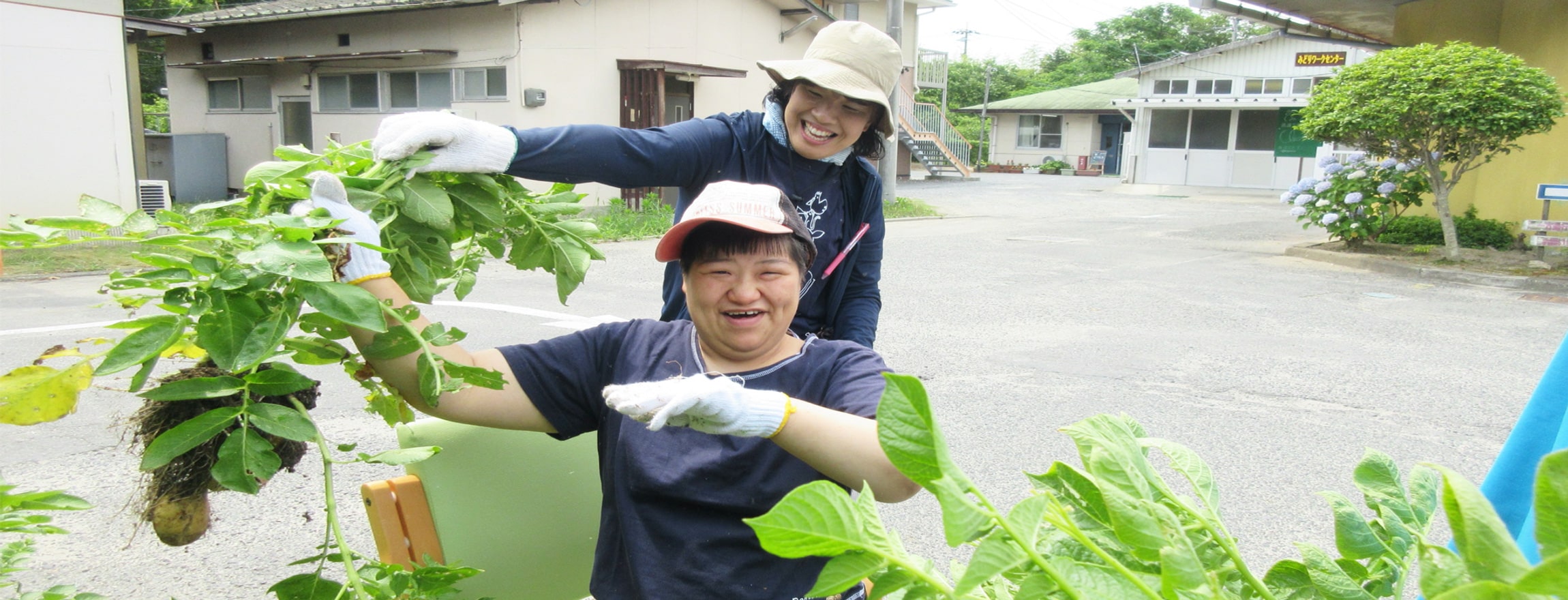 あおば